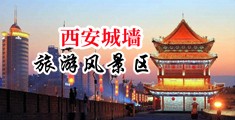 骚鸡巴操骚屄视频在线观看中国陕西-西安城墙旅游风景区